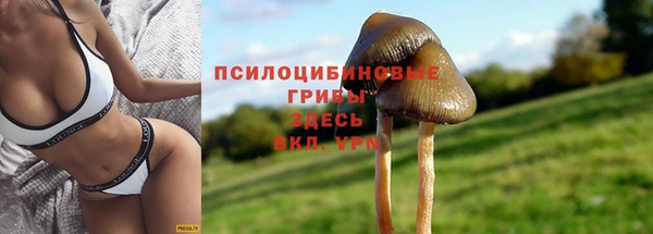 первитин Абинск