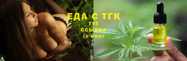 тгк Абаза