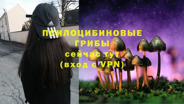 первитин Абинск