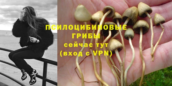круглые Алзамай